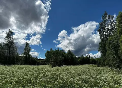 Участок в Ленинградская область, Приозерский район, Раздольевское ...