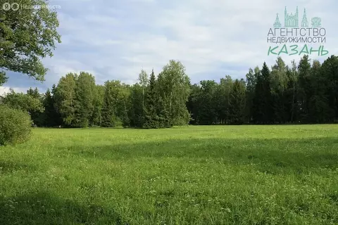 Участок в Лаишевский район, Нармонское сельское поселение, село ...