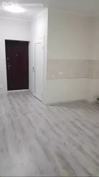 1-комнатная квартира: Российский, улица Шевкунова, 20 (23 м)