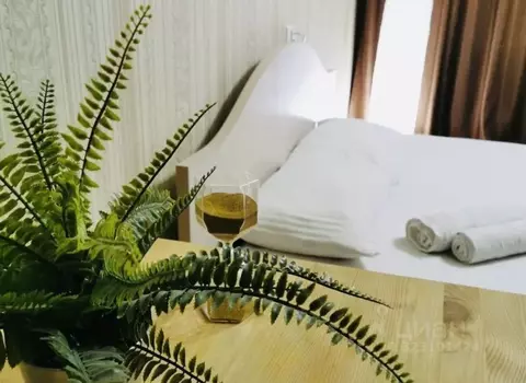 1-к кв. Чувашия, Чебоксары ул. Мичмана Павлова, 66 (30.0 м)