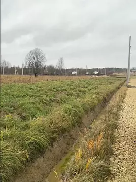 Участок в Ленинградская область, Ломоносовский район, Низинское с/пос, ...