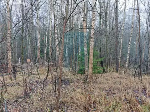Участок в Москва, ТАО, район Вороново, деревня Тетеринки (12 м)
