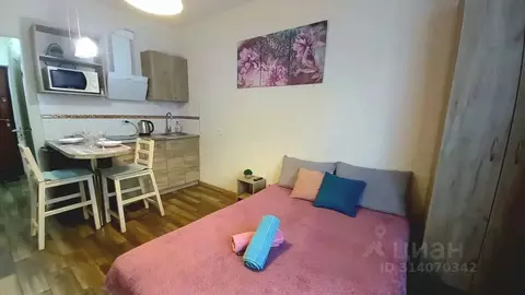 Студия Краснодарский край, Краснодар ул. Евгении Жигуленко, 13к1 (20.0 ...