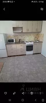 Студия Алтайский край, Барнаул ул. Чеглецова, 62 (28.0 м)