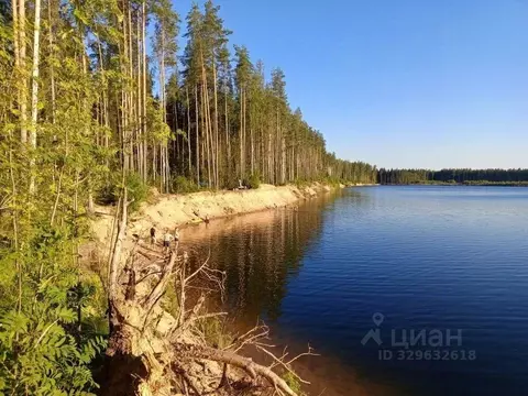 Участок в Ленинградская область, Всеволожский район, Имени Свердлова ...