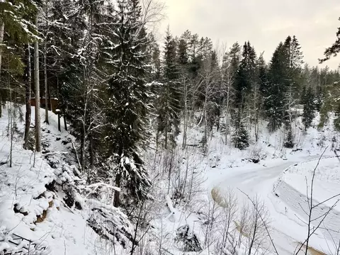 Участок в Санкт-Петербург пос. Репино, Ленгипроречтранс СНТ, ул. ...