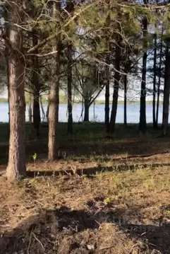 Участок в Пермский край, Пермский муниципальный округ, Новые Гамы кв-л ...