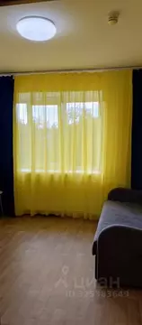 Студия Московская область, Электросталь Трудовая ул., 39 (19.5 м)