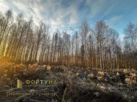 Участок в Нижегородская область, Бор пос. Большое Пикино, ул. Западная ...