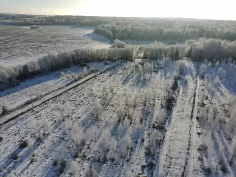 Участок в Вологодская область, д. Жилино ул. 4-я (8.0 сот.)