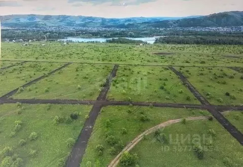 Участок в Алтайский край, Алтайский район, Айский сельсовет, с. Ая  ...