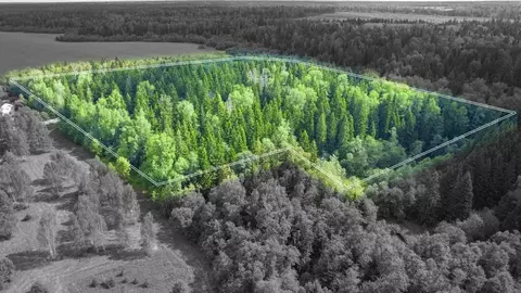 Участок в Московская область, Одинцовский городской округ, Рига лес кп ...