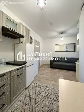 Квартира-студия: Санкт-Петербург, Муринская дорога, 10к1 (21.2 м)