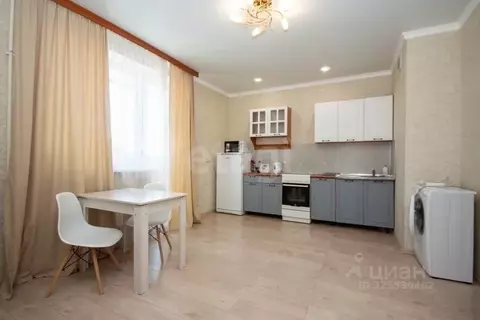 Студия Тюменская область, Тюмень ул. Дмитрия Менделеева, 2 (29.8 м)