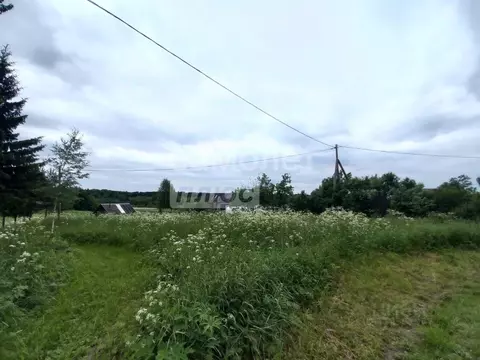 Участок в Вологодская область, д. Ильинское (Спасский сельсовет)  ...