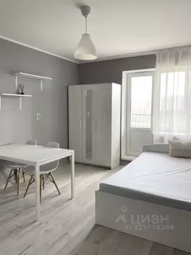 Студия Ленинградская область, Мурино Всеволожский район, просп. ...