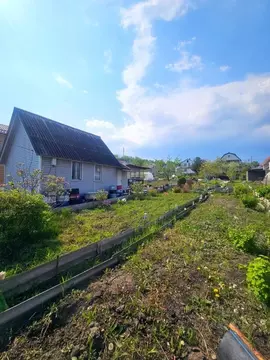 Участок в Приморский край, Находка Зеленый сад СНТ, ул. Садовое ...