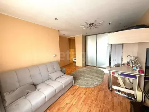 1-к кв. Свердловская область, Нижний Тагил ул. Энтузиастов, 24 (30.7 ...