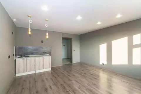 Студия Новосибирская область, Новосибирск ул. Фадеева, 66/7 (30.9 м)