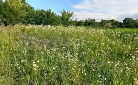 Участок в Брянская область, Брянский район, Снежское с/пос, с. ...