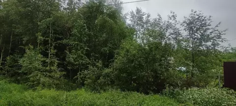 Участок в Коми, Сыктывдинский район, Выльгорт муниципальное ...