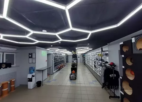 Помещение свободного назначения в Пермский край, Пермь ул. Тимирязева, ...