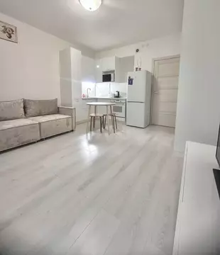 Студия Санкт-Петербург ул. Орбитальная, 3 (23.0 м)