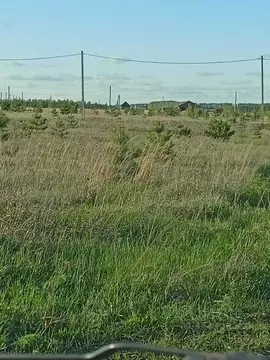 Участок в Татарстан, Высокогорский район, Березкинское с/пос, с. Инся  ...