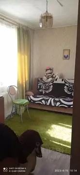 1-к кв. Курганская область, Курган ул. Тельмана, 12 (19.0 м)