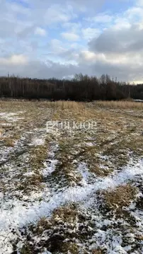 Участок в Ярославская область, Ярославский муниципальный округ, д. ...