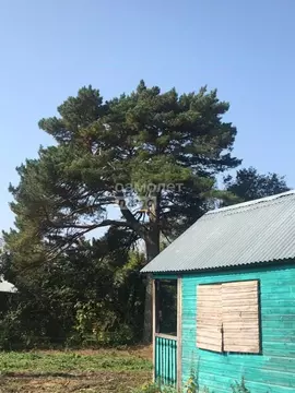 Участок в Московская область, Домодедово Центросоюзовец СНТ, 20 (9.3 ...