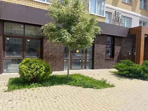 Помещение свободного назначения в Краснодарский край, Краснодар ул. ...