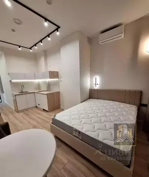 Студия Татарстан, Казань Профессора Камая ул., 10к2 (28.0 м)