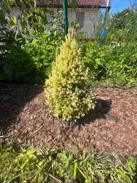 Участок в Санкт-Петербург Сергиево тер., ул. Красная (5.27 сот.)