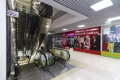 Помещение свободного назначения в Тюменская область, Тюмень ул. ...