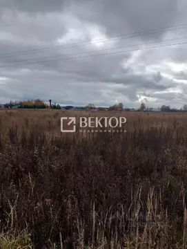 Участок в Костромская область, Костромской район, Шунгенское с/пос, д. ...