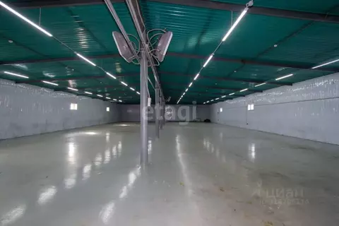 Торговая площадь в Забайкальский край, Чита ул. Бекетова, 39 (921 м)