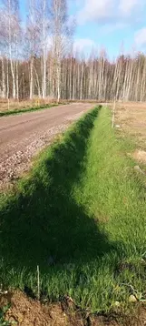 Участок в Ленинградская область, Приозерский район, Сосновское с/пос, ...