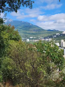 Участок в Крым, Ялта ул. Орлиная, 5 (8.0 сот.)