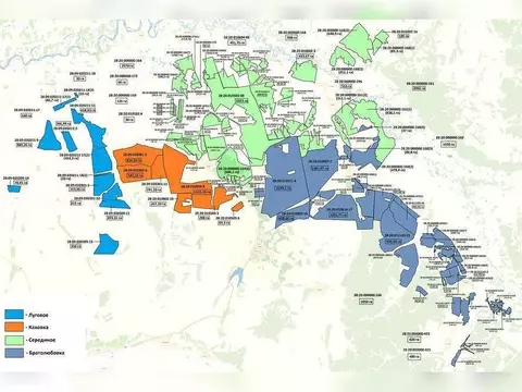 Участок в Амурская область, Ромненский муниципальный округ, с. ...