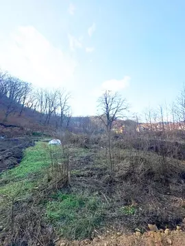 Участок в Приморский край, Находка Строитель СНТ, ул. Центральная (6.0 ...