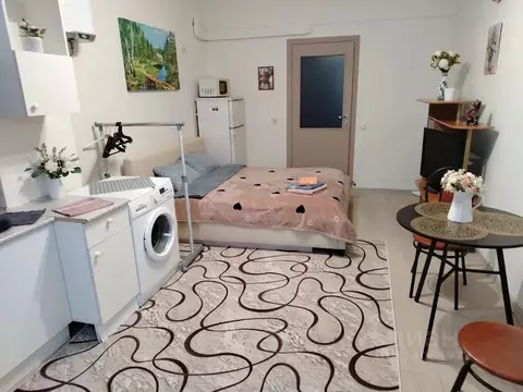 Студия Ленинградская область, Выборг Московский просп., 7 (23.0 м)