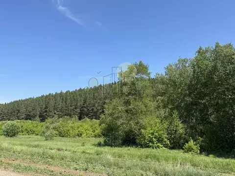 Участок в Иркутская область, Иркутский муниципальный округ, д. Карлук ...