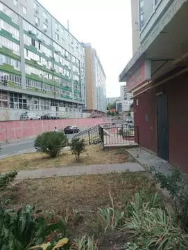 Помещение свободного назначения в Белгородская область, Белгород ул. ...