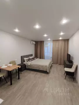 Студия Санкт-Петербург Богатырский просп., 2А (30.0 м)