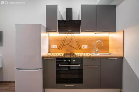 Квартира-студия: Санкт-Петербург, Планерная улица, 87к1 (24.5 м)