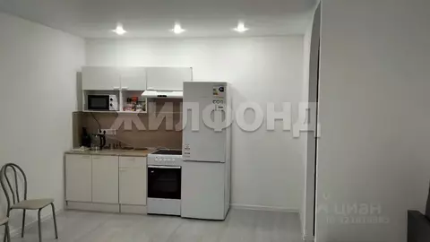 1-к кв. Новосибирская область, Новосибирск ул. Палласа, 3 (40.9 м)