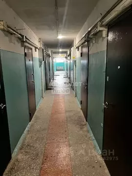 Комната Тюменская область, Тюмень ул. Мельникайте, 113 (16.0 м)