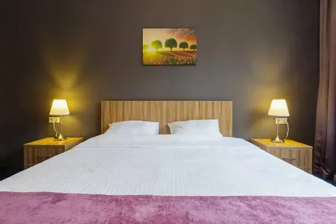 Комната Свердловская область, Екатеринбург ул. Академическая, 28А