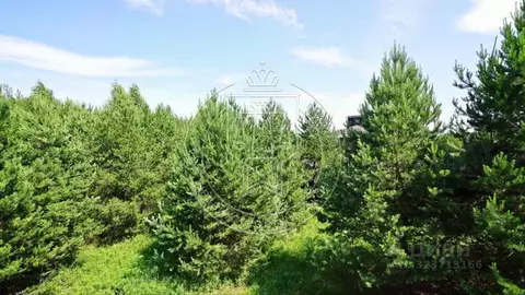 Участок в Татарстан, Лаишевский район, Орловское с/пос, д. Орел, ...